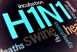 Schweinegrippe H1N1